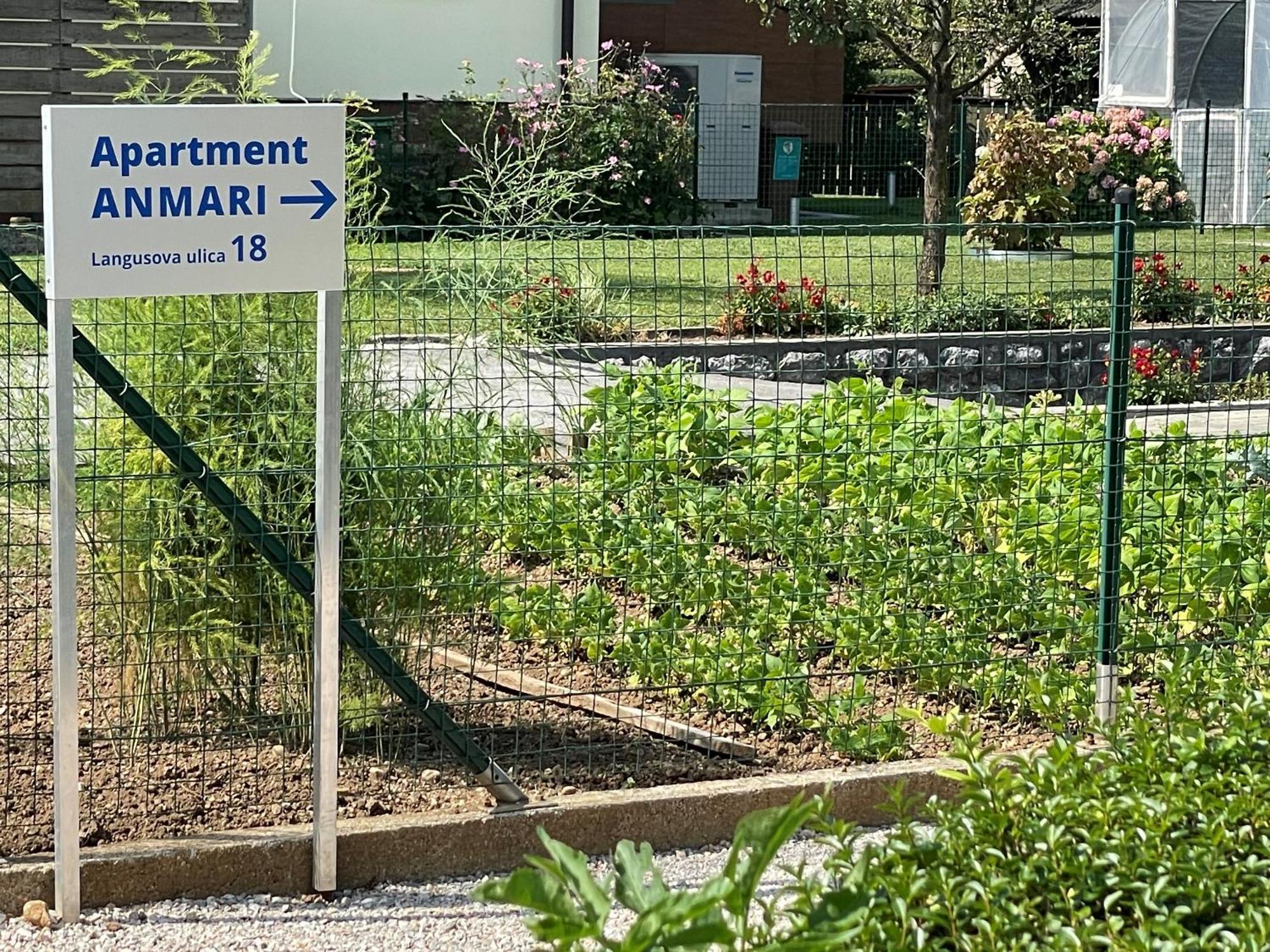 Apartment Anmari Радовлиця Екстер'єр фото